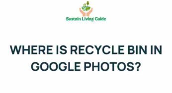 Uncovering the Hidden Recycle Bin in Google Photos