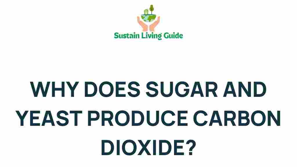 sugar-yeast-carbon-dioxide-science