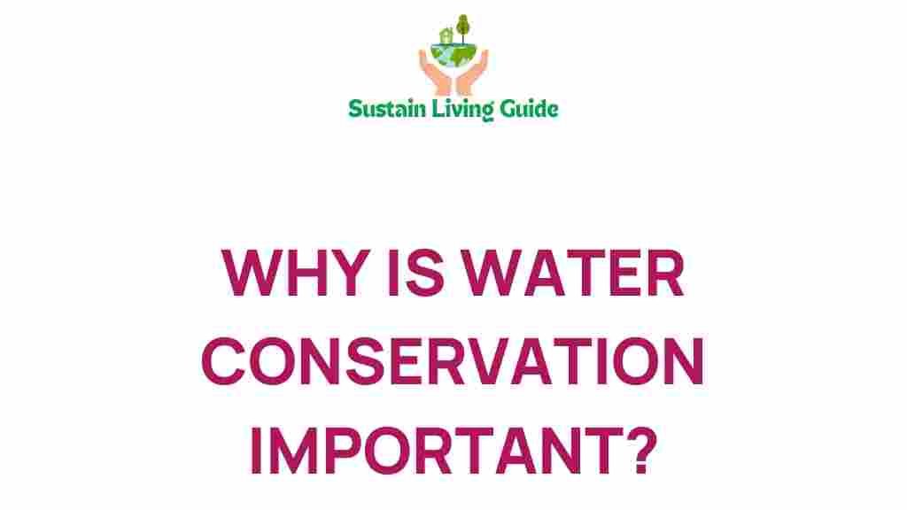 water-conservation-importance