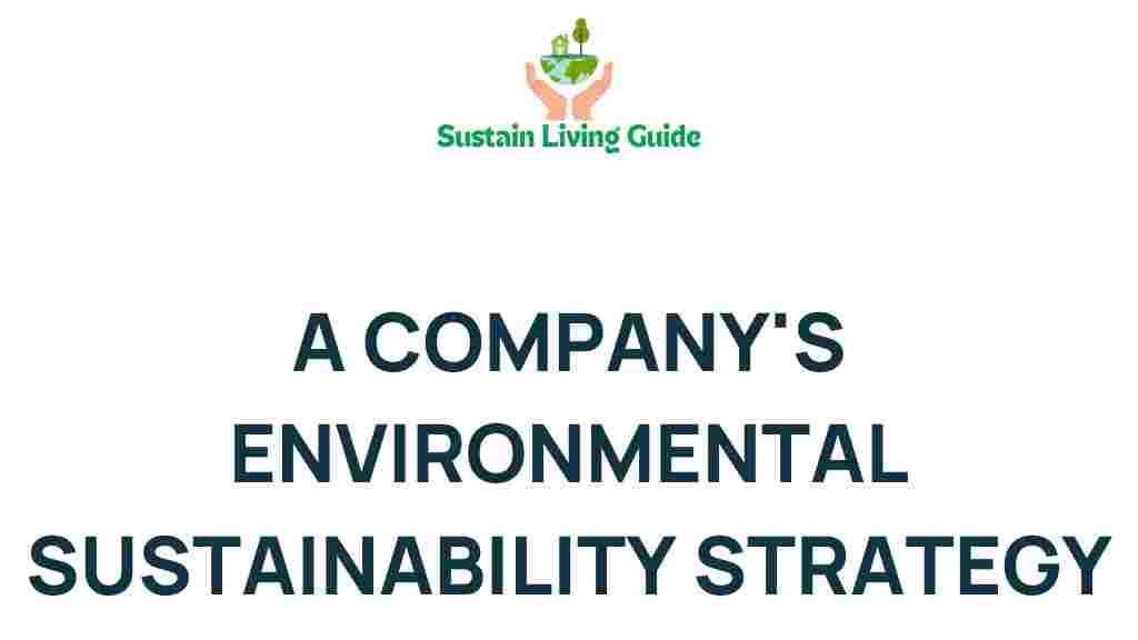 unpacking-company-sustainability-strategy