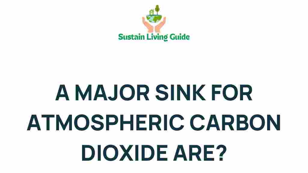 carbon-sinks-atmospheric-co2