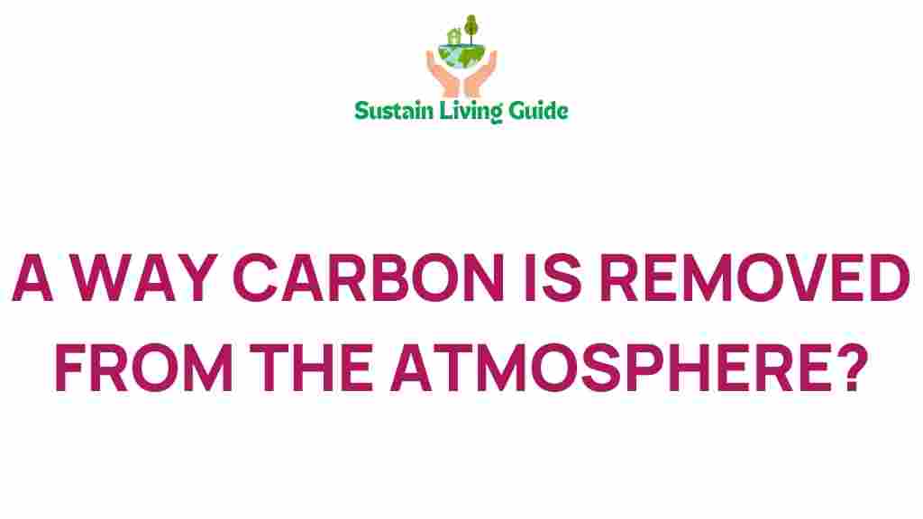 carbon-capture-secrets
