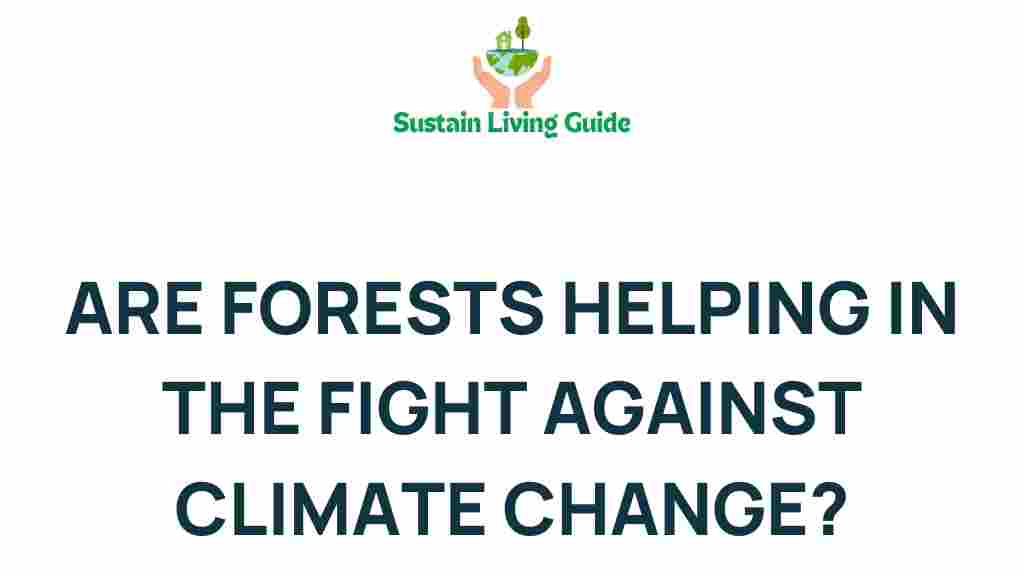 forests-combating-climate-change