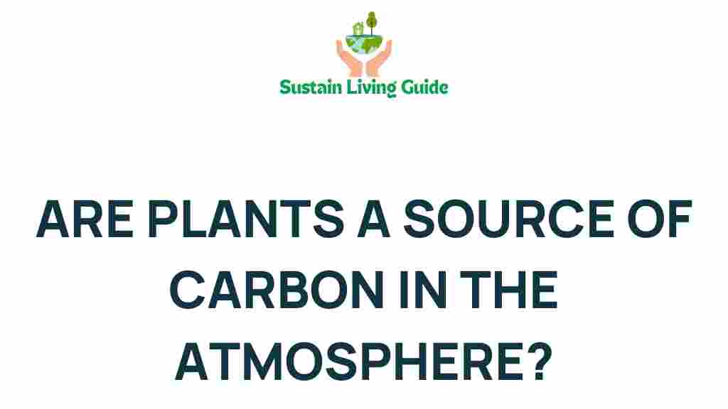 plants-carbon-cycle