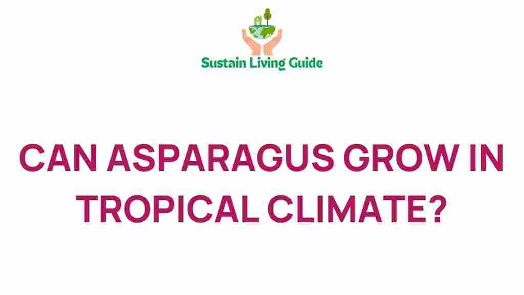 asparagus-tropical-climate