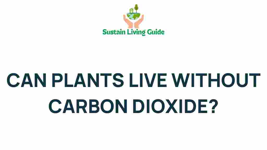 can-plants-live-without-carbon-dioxide