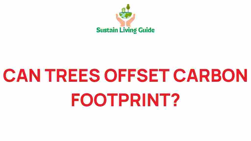 can-trees-offset-carbon-footprint