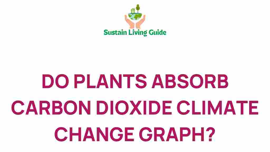 carbon-dioxide-plant-absorption
