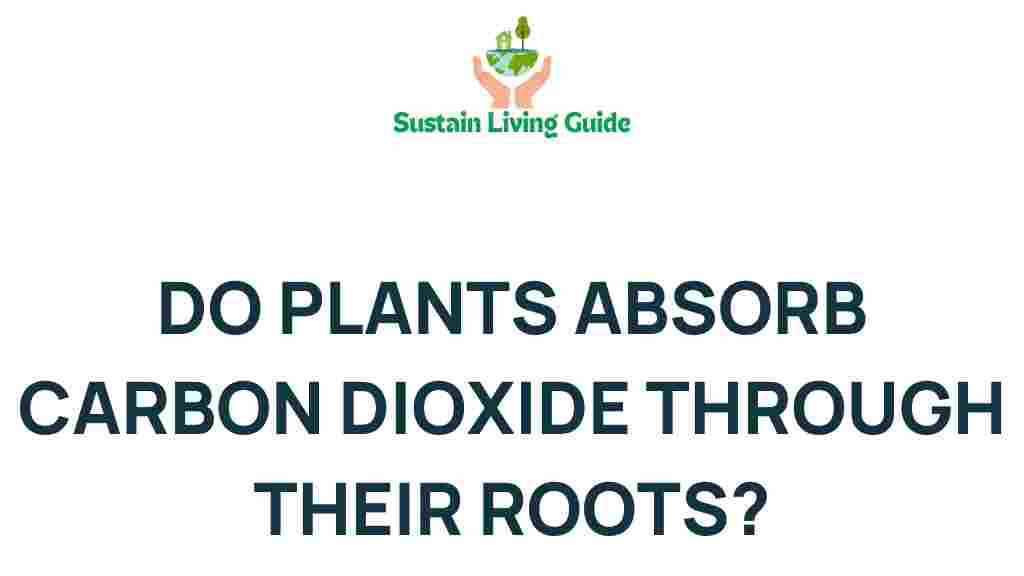 carbon-dioxide-plant-roots
