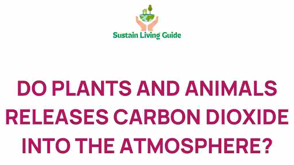 carbon-dioxide-plants-animals-emissions