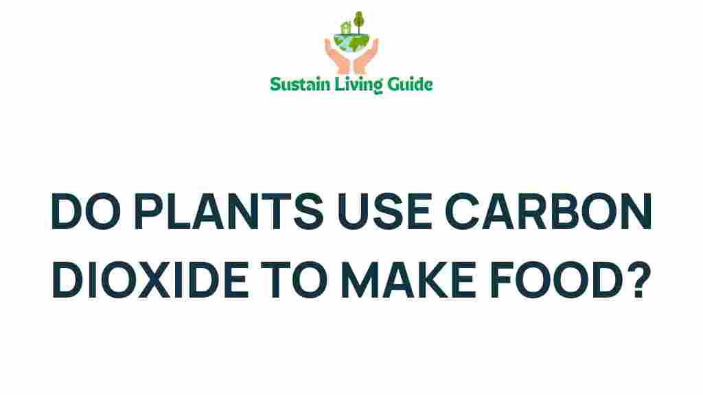 carbon-dioxide-plant-nutrition