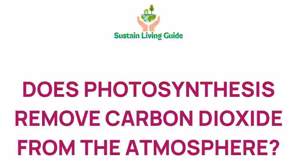 photosynthesis-combat-climate-change