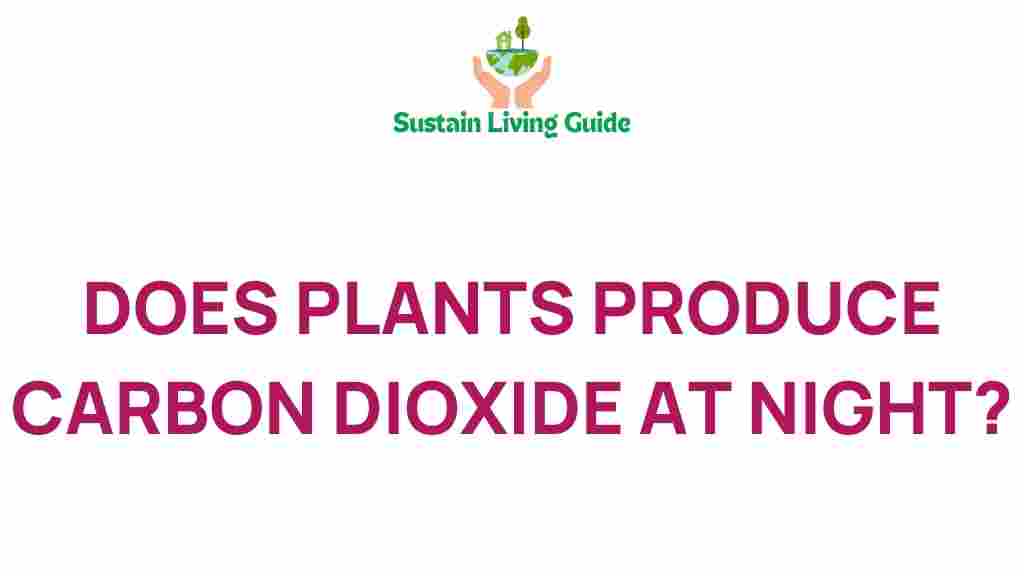 plants-carbon-dioxide-night