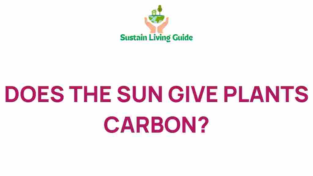 does-the-sun-give-plants-carbon