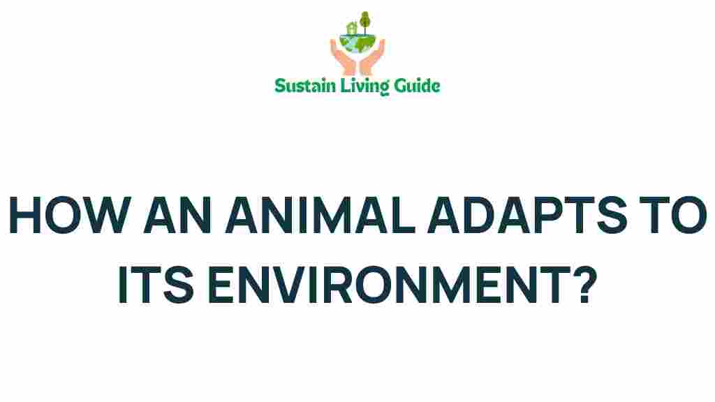 animal-adaptation-environment