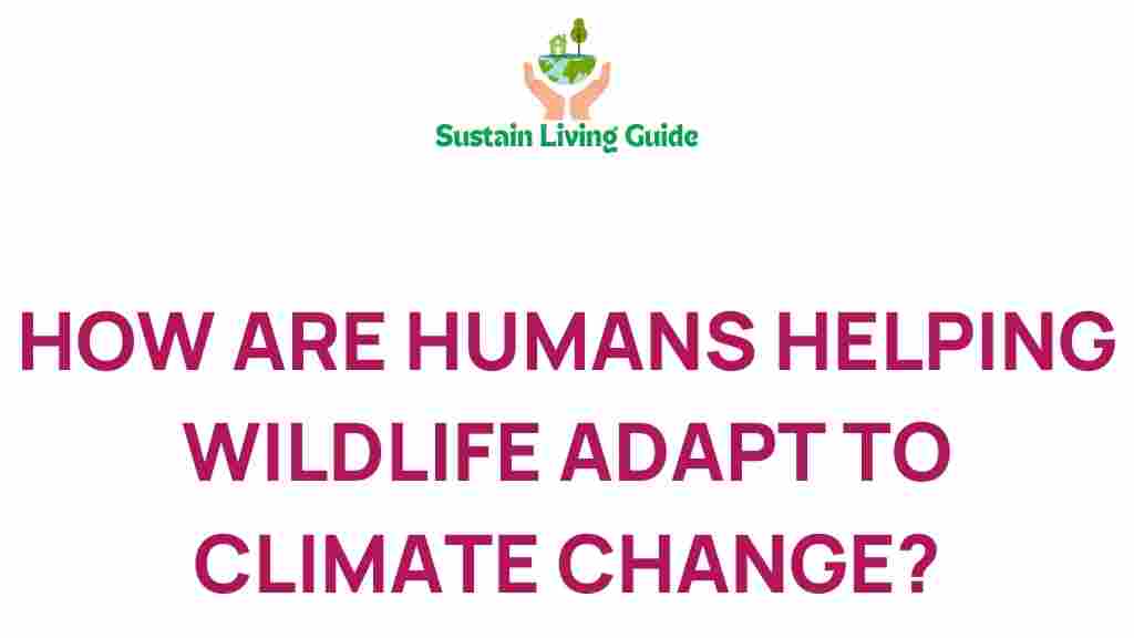wildlife-adaptation-climate-change
