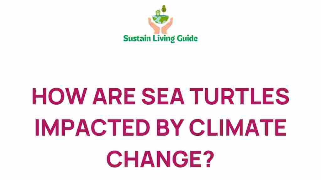 sea-turtles-climate-change