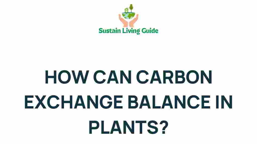 carbon-exchange-in-plants