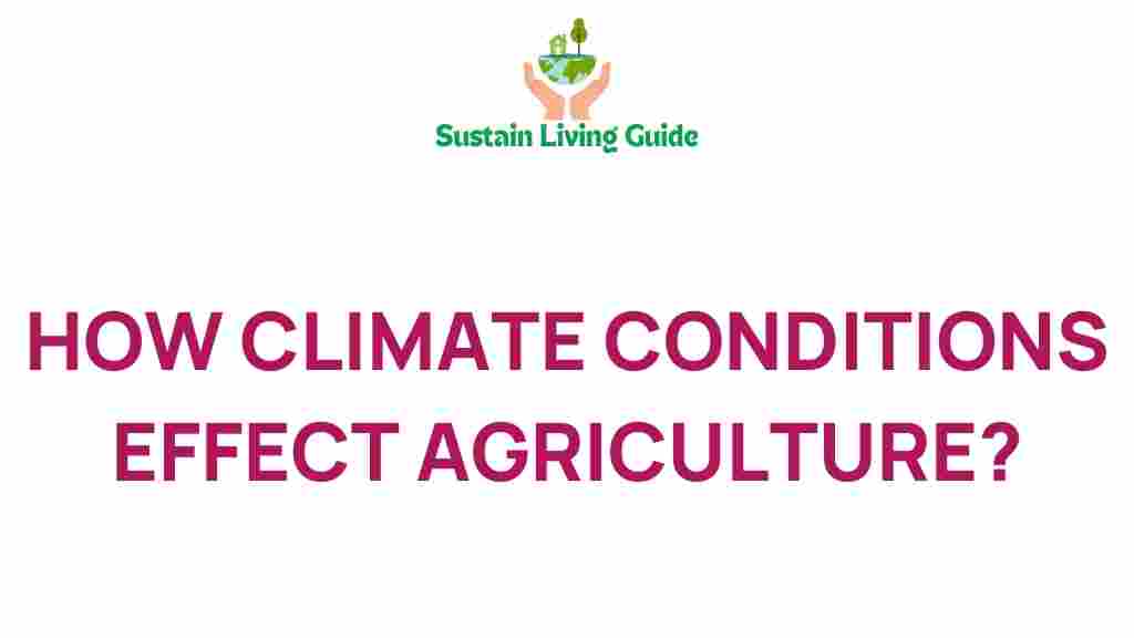climate-conditions-agriculture