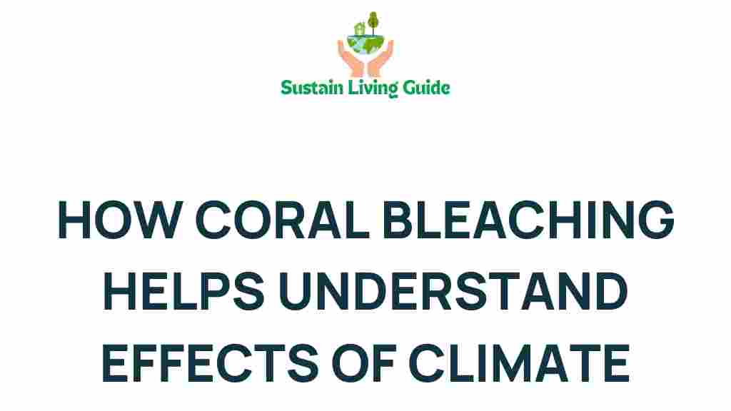 coral-bleaching-climate-change