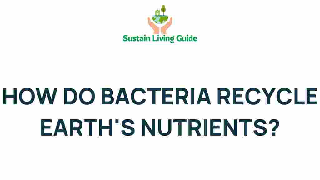 bacteria-recycle-earth-nutrients