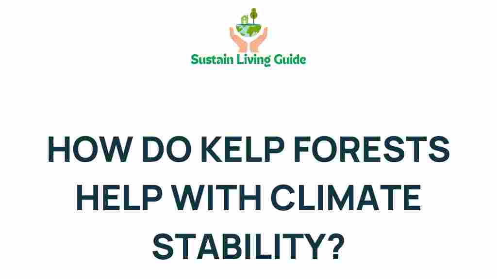 kelp-forests-climate-stability