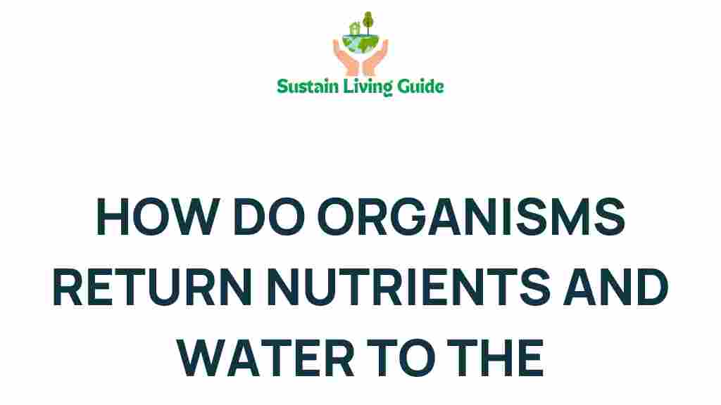 nutrient-cycle-organisms