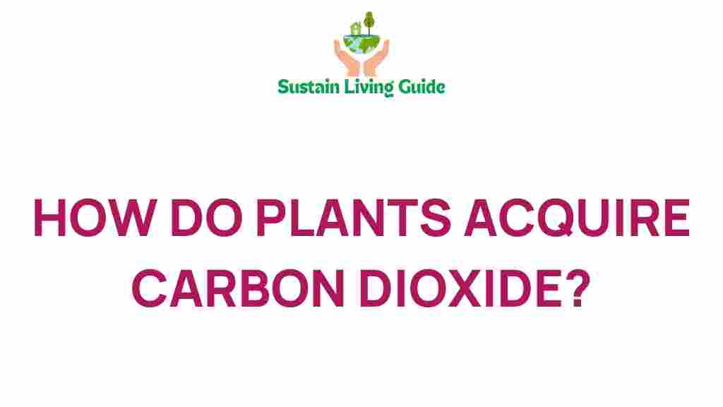 how-do-plants-acquire-carbon-dioxide