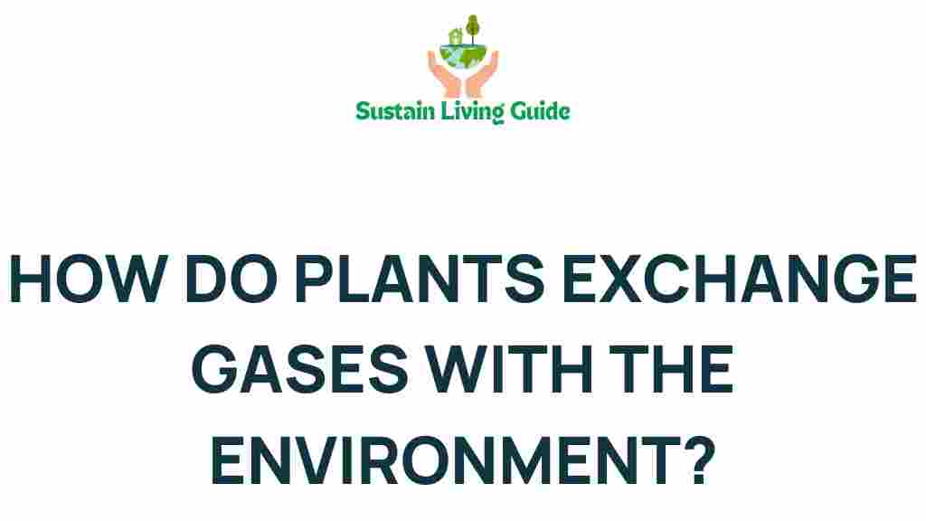how-do-plants-exchange-gases