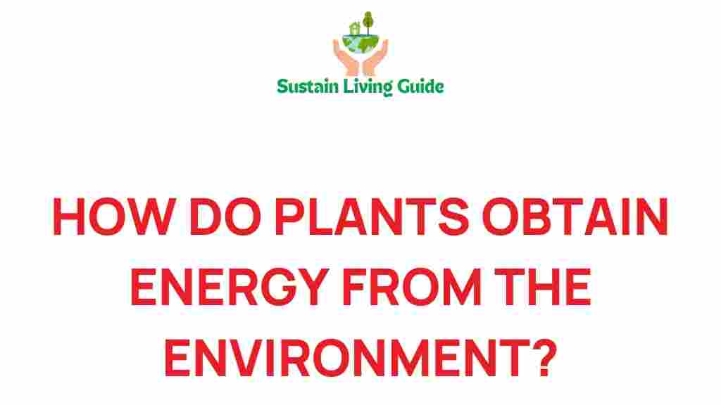 plants-energy-harnessing-nature