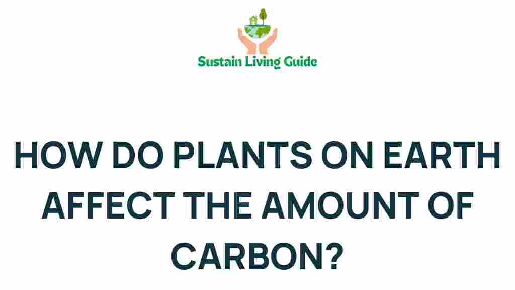 plants-carbon-dynamics