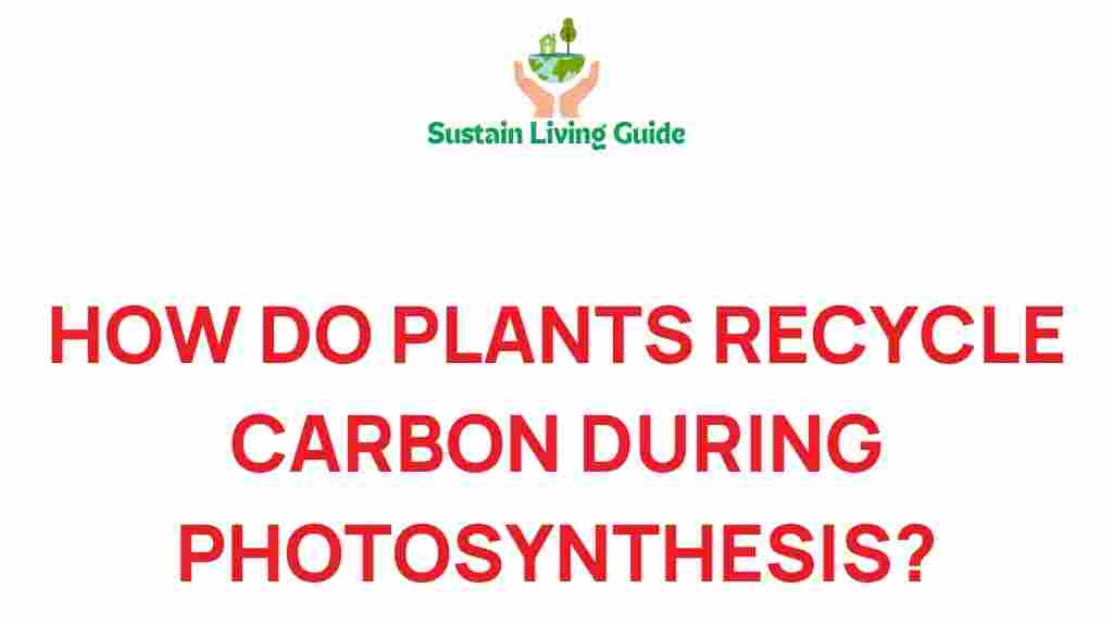 carbon-recycling-photosynthesis
