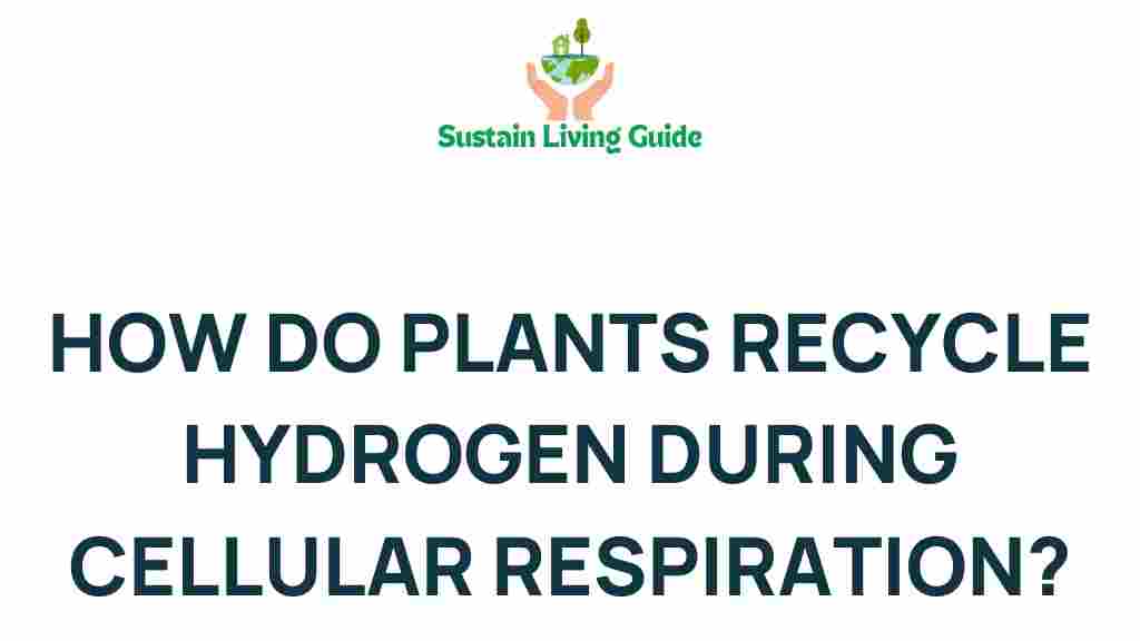 plants-hydrogen-recycling-cellular-respiration