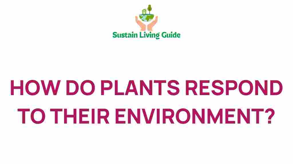 how-do-plants-adapt-to-their-environment