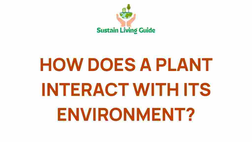 plant-interaction-environment