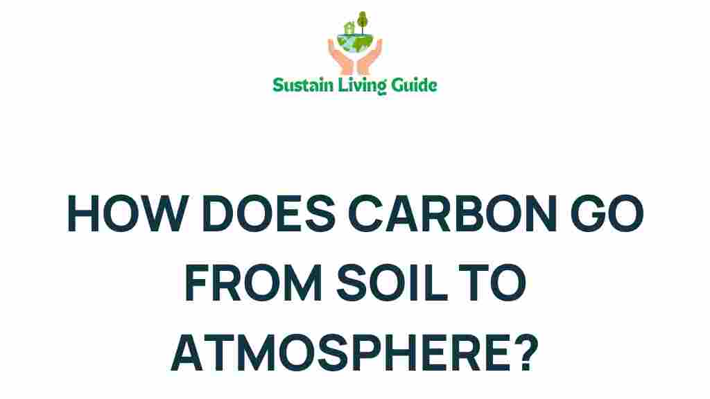 carbon-soil-atmosphere-journey