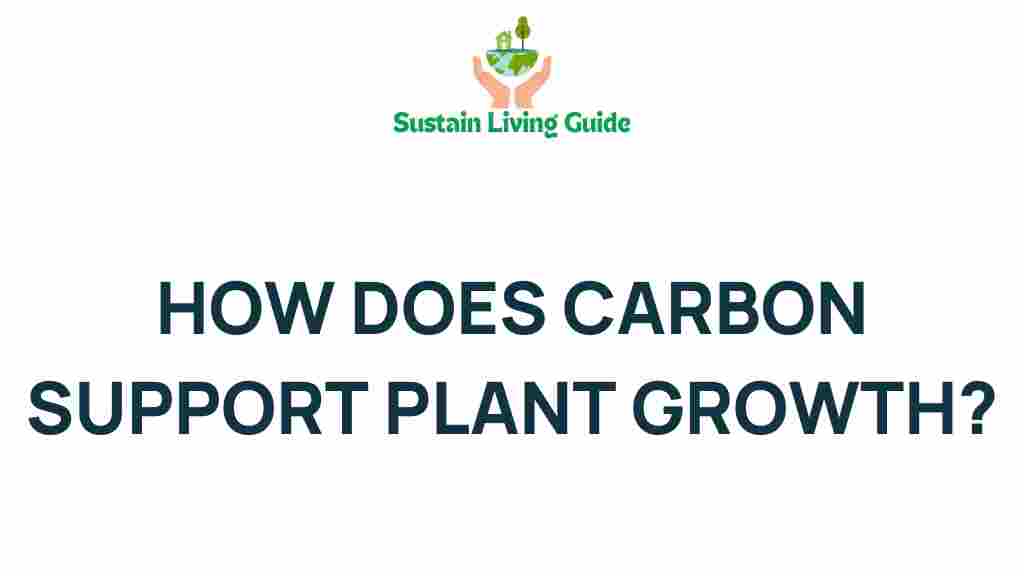 carbon-support-plant-growth