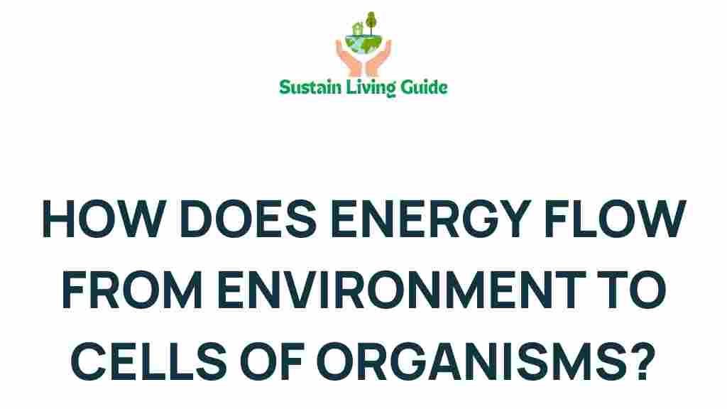 energy-flow-environment-cells