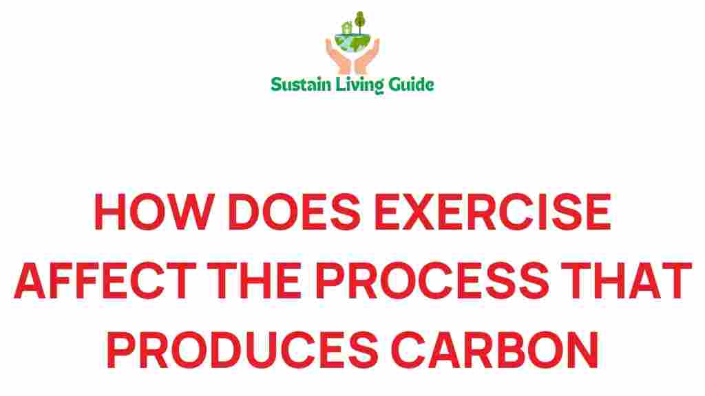 exercise-carbon-dioxide-impact