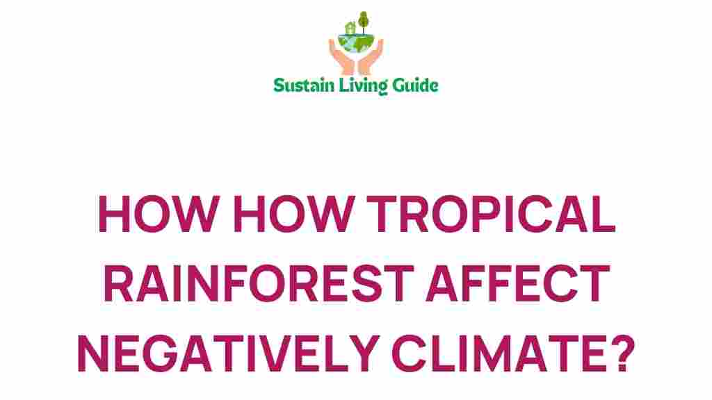 tropical-rainforest-impact-climate