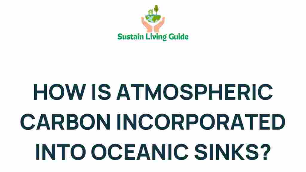 atmospheric-carbon-oceanic-sinks