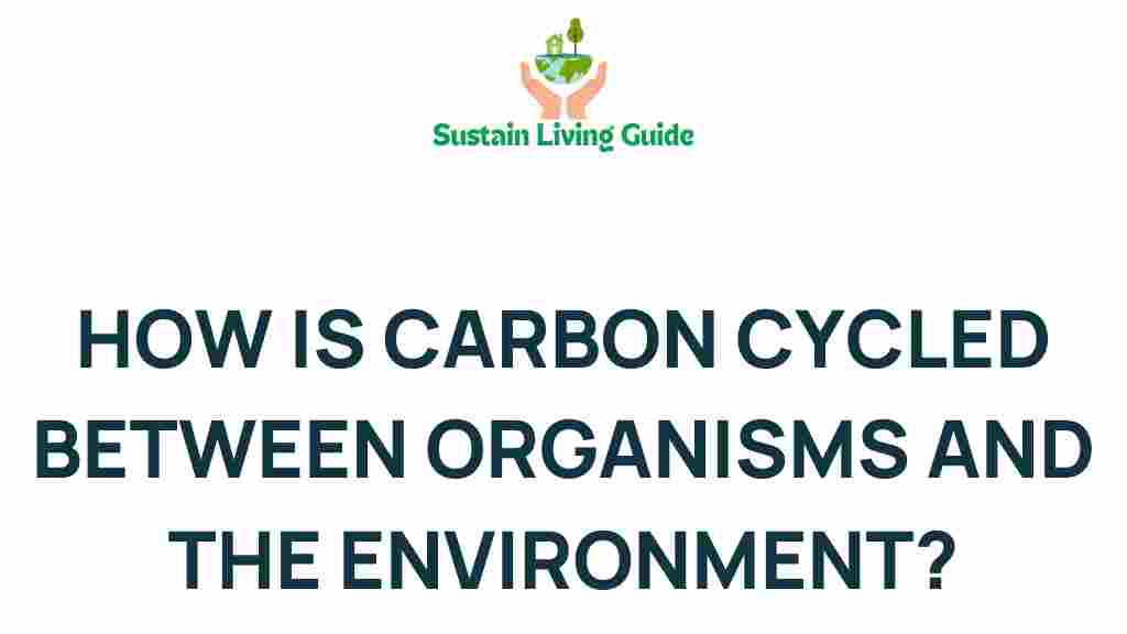 carbon-cycling-organisms-environment
