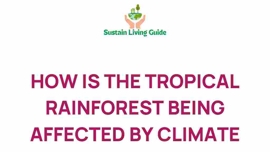 tropical-rainforest-climate-change