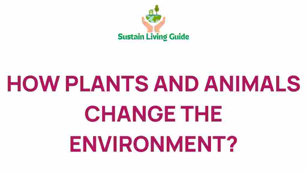 plants-animals-environment-transformation