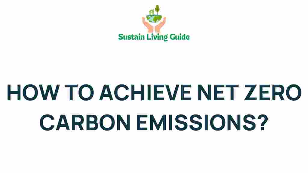 net-zero-carbon-emissions