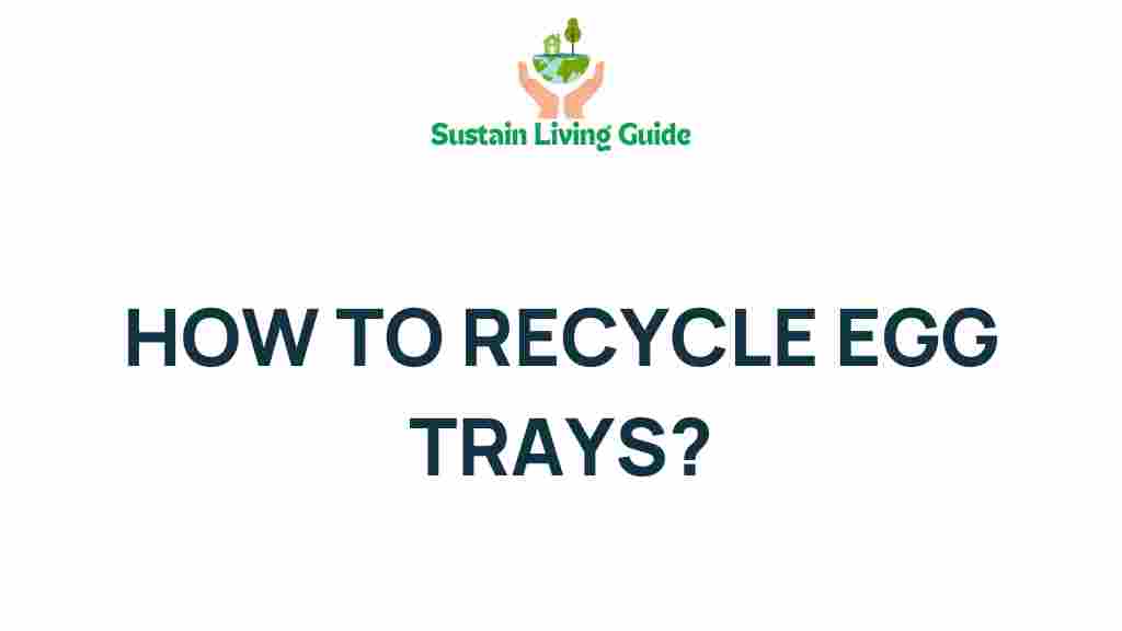 recycling-egg-trays-eco-friendly-guide