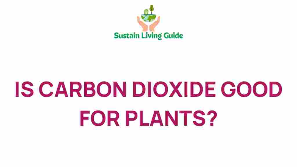 carbon-dioxide-good-for-plants