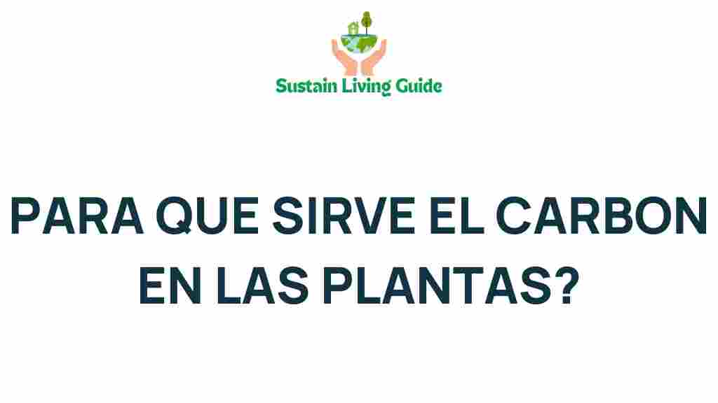 carbon-in-plants