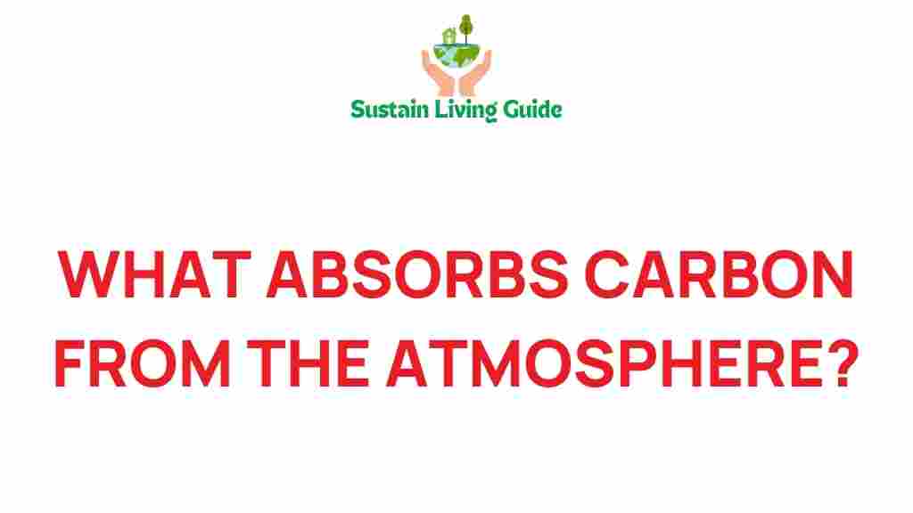 carbon-absorption-nature-secrets