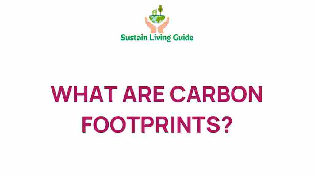 carbon-footprints-hidden-impact